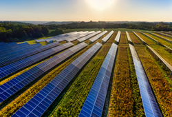 FV a terra - sezione Servizi per PRIVATI